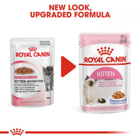 Royal Canin Kitten Jelly Pouch Cat Food