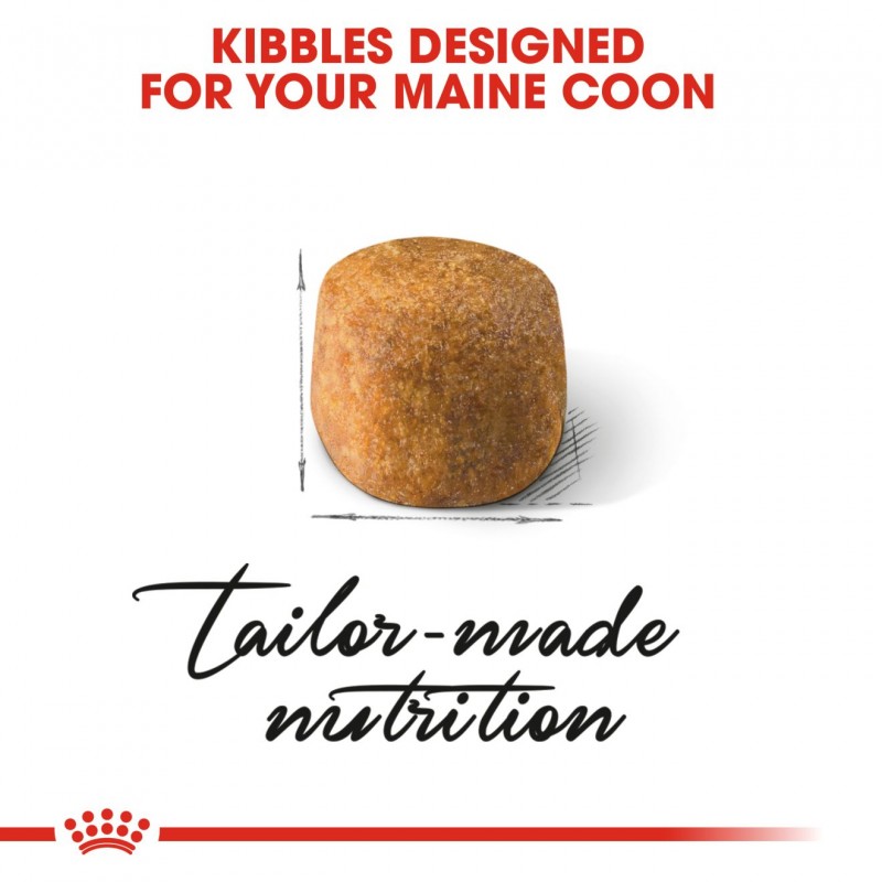 Royal Canin Feline Breed Nutrition Maine Coon Adult Dry Cat Food