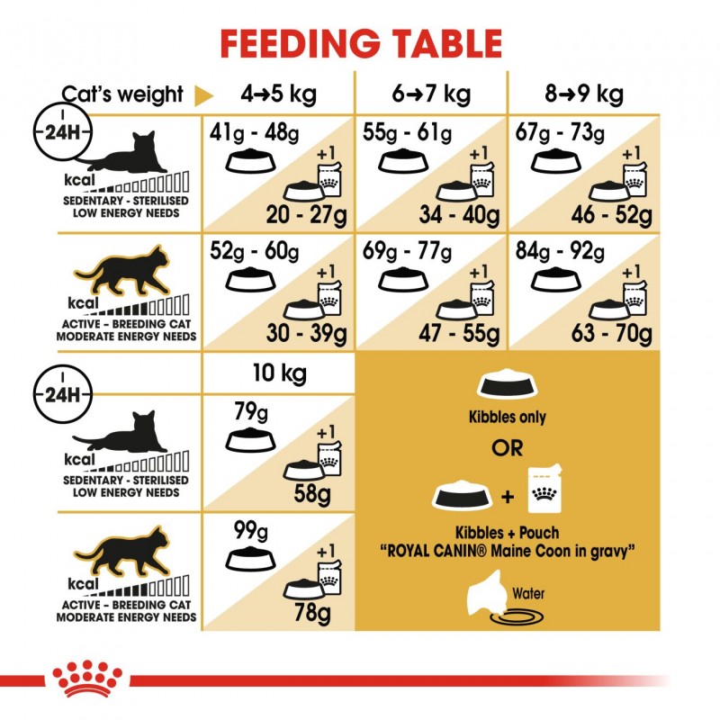 Royal Canin Feline Breed Nutrition Maine Coon Adult Dry Cat Food