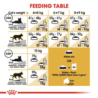 Royal Canin Feline Breed Nutrition Maine Coon Adult Dry Cat Food