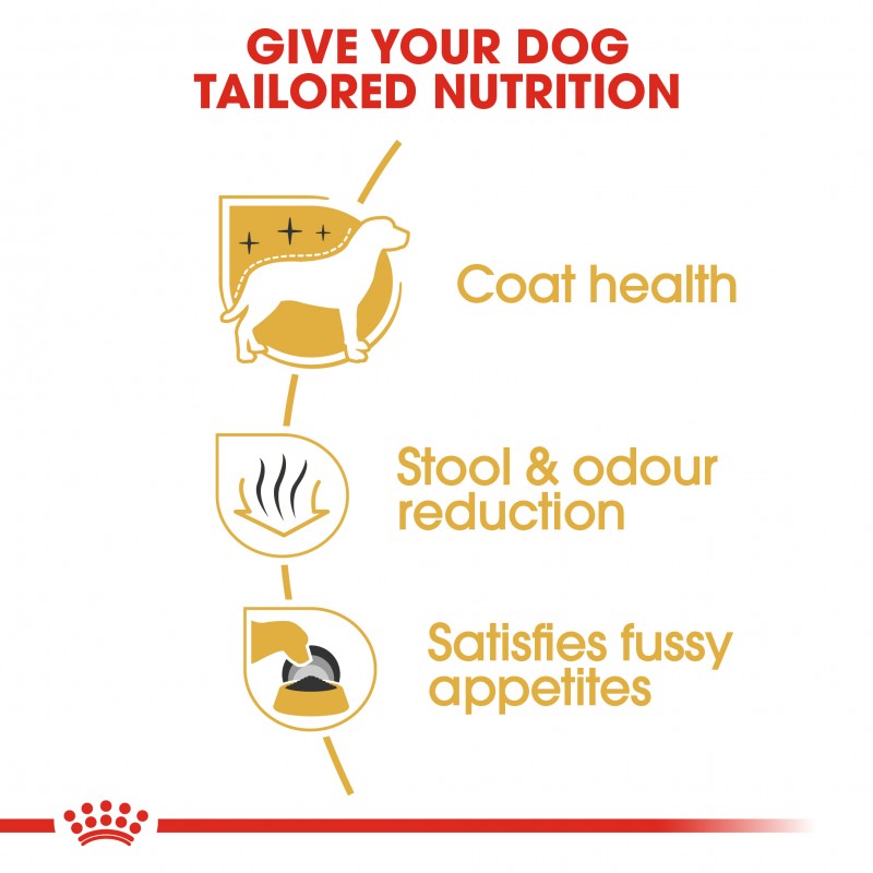 Royal Canin Maltese Adult Dry Dog Food