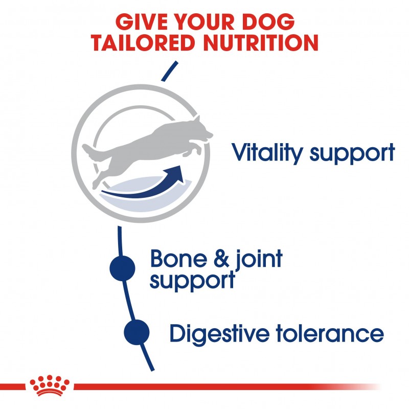 Royal Canin Maxi Adult 5+ Dry Dog Food 15kg