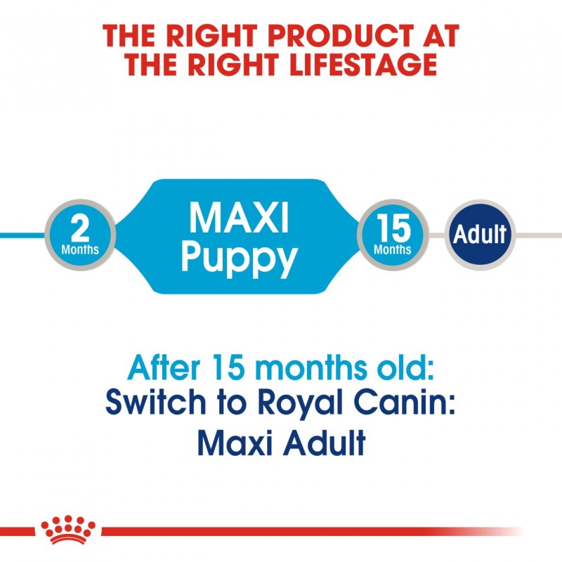 Royal canin maxi puppy 20 kg Clearance