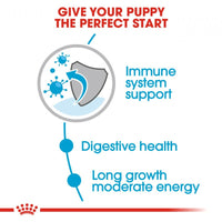 Royal Canin Size Health Nutrition Maxi Puppy Pouch Dog Food