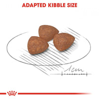 Royal Canin Mini Indoor Puppy Dry Dog Food