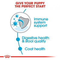 Royal Canin Mini Indoor Puppy Dry Dog Food