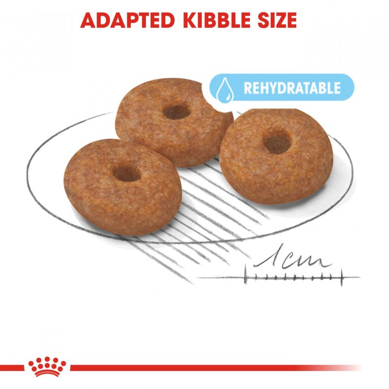 Royal Canin Mini Indoor Senior 8+ Dry Dog Food