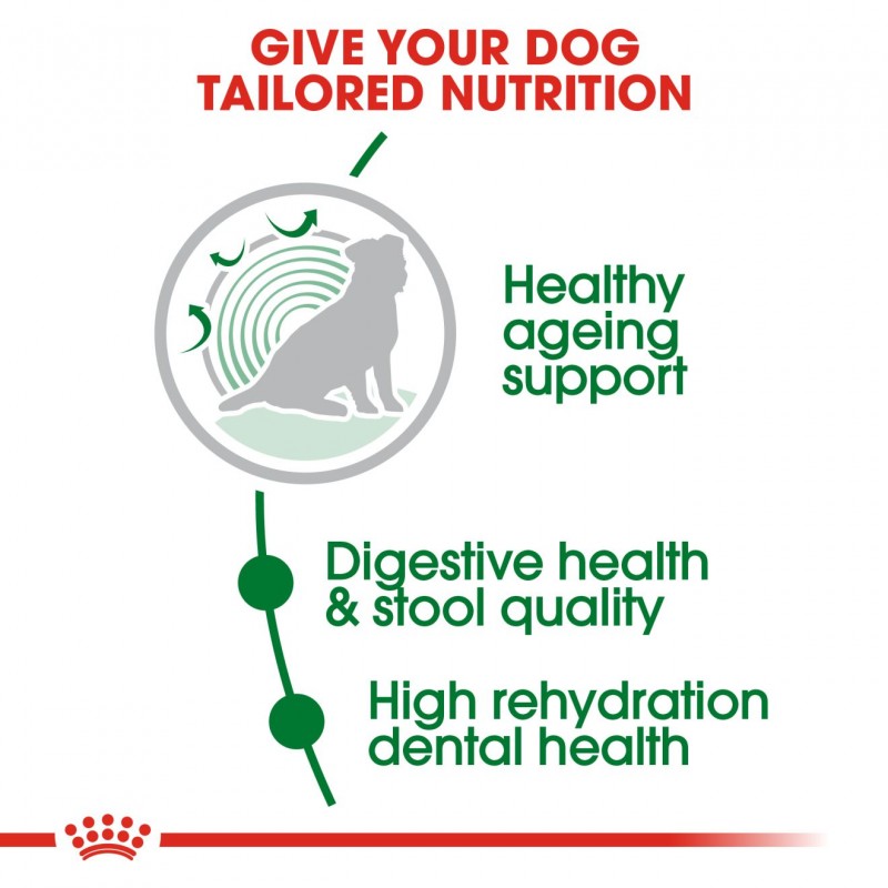 Royal Canin Mini Indoor Senior 8+ Dry Dog Food