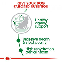 Royal Canin Mini Indoor Senior 8+ Dry Dog Food