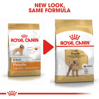 Royal Canin Breed Health Nutrition Adult Poodle Dry Dog Food