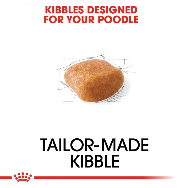 Royal Canin Breed Health Nutrition Adult Poodle Dry Dog Food