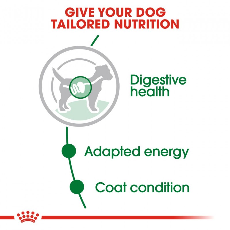 Royal Canin Size Health Nutrition Mini Adult Gravy Pouch Dog Food