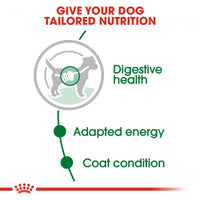 Royal Canin Size Health Nutrition Mini Adult Gravy Pouch Dog Food