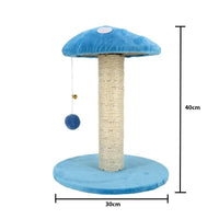 Sin Cheng Shroom Scratching Post (Blue)